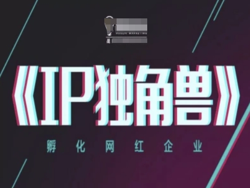 IP独角兽，孵化网红企业，ip教程小白网创_互联网创业项目_网络创业小白网创