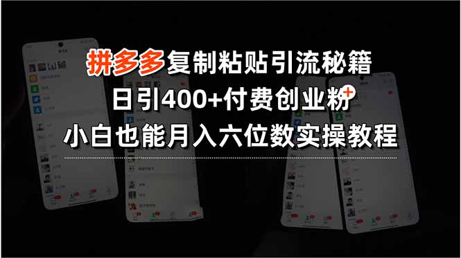 （15613期）拼多多复制粘贴引流秘籍，日引400+付费创业粉，小白也能月入六位数实操…小白网创_互联网创业项目_网络创业小白网创