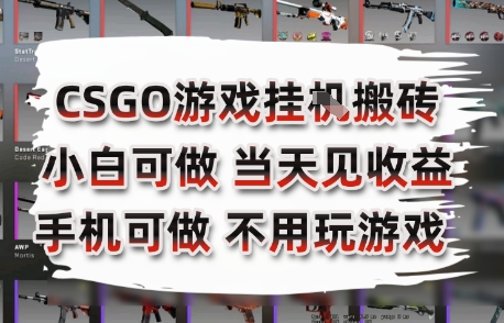 CSGO游戏挂G搬砖，小白纯手机即可操作，不用电脑打游戏，日入3张+，副业网创项目【揭秘】小白网创_互联网创业项目_网络创业小白网创