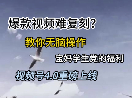 视频号4.0重磅上线，爆款视频难复刻？教你无脑操作宝妈学生党的福利【揭秘】小白网创_互联网创业项目_网络创业小白网创