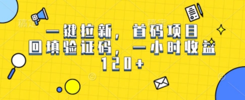 一键拉新，首码项目，回填验证码，一小时收益1张小白网创_互联网创业项目_网络创业小白网创
