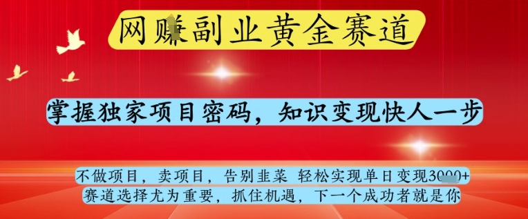 网创副业黄全赛道，掌握独家项目密码，知识变现快人一步，告别韭菜轻松实现单日变现1k+【揭秘】小白网创_互联网创业项目_网络创业小白网创