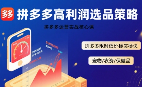 拼多多选品暴利技术实战课，拼多多高利润选品策略，拼多多限时低价标签秘诀小白网创_互联网创业项目_网络创业小白网创