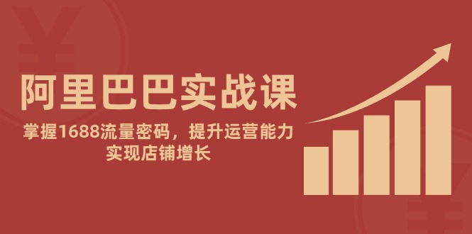 （14830期）阿里巴巴实战课：掌握1688流量密码，提升运营能力，实现店铺增长小白网创_互联网创业项目_网络创业小白网创