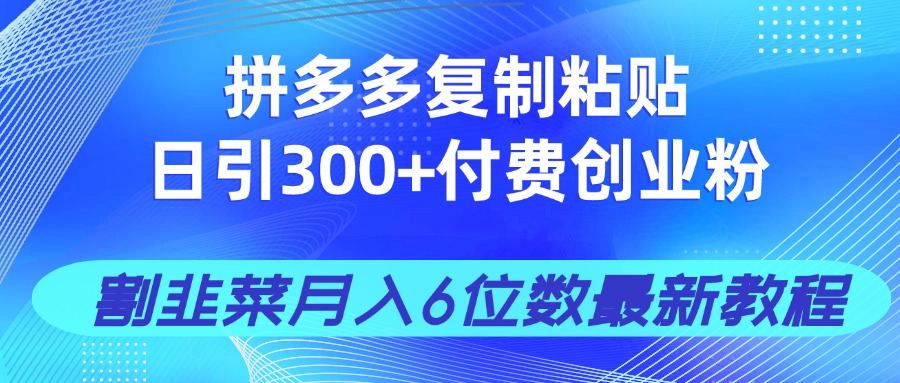 （14232期）拼多多复制粘贴日引300+付费创业粉，割韭菜月入6位数最新教程！小白网创_互联网创业项目_网络创业小白网创