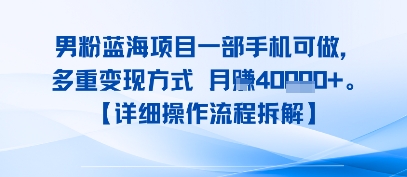 8月新男粉蓝海项目一部手机可做，多重变现方式 月入4W+【详细操作流程拆解】小白网创_互联网创业项目_网络创业小白网创