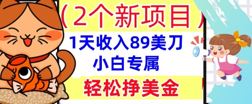 2个新项目，轻松挣美金， 1天收入89美刀，小白专属，干货分享小白网创_互联网创业项目_网络创业小白网创
