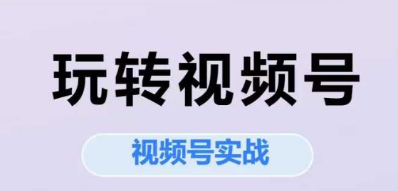 玩转视频号，视频号实战系列课小白网创_互联网创业项目_网络创业小白网创