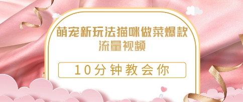 萌宠新玩法猫咪做菜爆款流量视频，10分钟教会你小白网创_互联网创业项目_网络创业小白网创