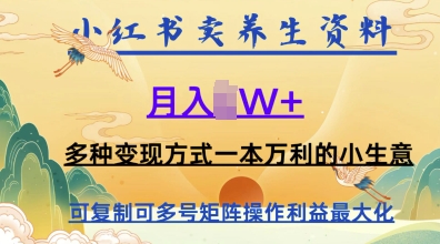 在小红书上卖养生资料，月入1w+，多种变现方式一本万利的小生意小白网创_互联网创业项目_网络创业小白网创