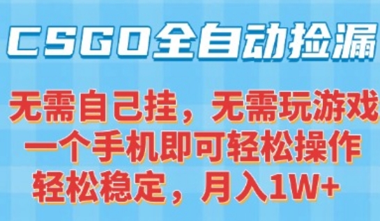 CSGO自动捡漏项目，最新独家玩法，一个手机可操作，新手小白轻松月入1W+，操作简单易上手【揭秘】小白网创_互联网创业项目_网络创业小白网创