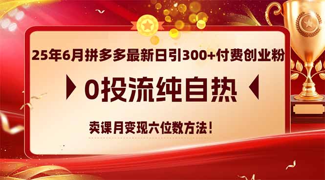 （14989期）25年6月拼多多最新日引300+付费创业粉，0投流纯自热 卖课月变现六位数方法小白网创_互联网创业项目_网络创业小白网创
