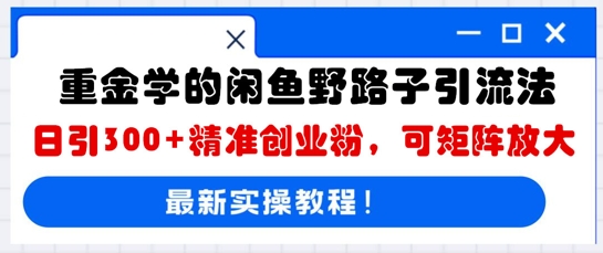 重金学的闲鱼野路子引流法，日引300+精准创业粉，可矩阵放大小白网创_互联网创业项目_网络创业小白网创