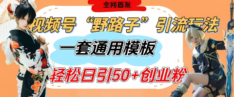 视频号“野路子”玩法，评论区疯狂截流，一套模板单日单号引流50+创业粉小白网创_互联网创业项目_网络创业小白网创