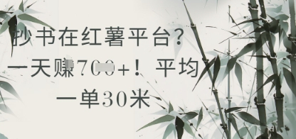 抄书在小红薯平台？平均一单30米，一天收益几张！小白网创_互联网创业项目_网络创业小白网创