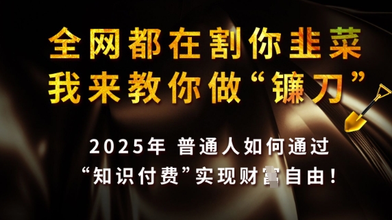 全网都在割你韭菜，我来教你做镰刀，2025普通人如何通过知识付费，实现财F自由【揭秘】小白网创_互联网创业项目_网络创业小白网创