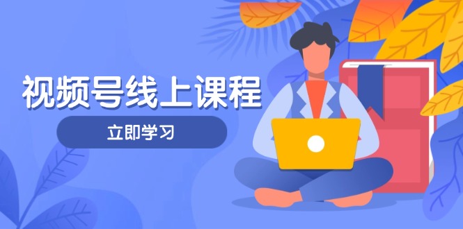 （14360期）视频号实战课程，轻IP打造与运营技巧，掌握核心方法与策略小白网创_互联网创业项目_网络创业小白网创