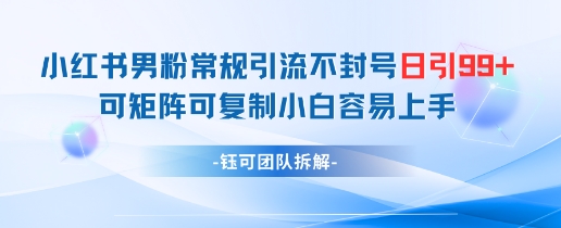 小红书男粉常规引流不封号日引99+变现简单 可矩阵可复制小白容易上手小白网创_互联网创业项目_网络创业小白网创