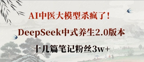 AI中医大模型杀疯了！DeepSeek中式养生2.0版本，十几篇笔记粉丝3w+小白网创_互联网创业项目_网络创业小白网创