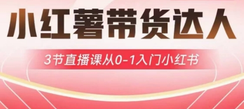 小红薯达人带货启航计划，3节直播课从0-1入门小红书小白网创_互联网创业项目_网络创业小白网创