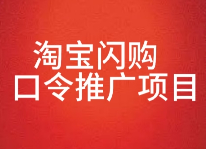 淘宝闪购口令推广项目，收益可观，一部手机，一个抖音号即可操作小白网创_互联网创业项目_网络创业小白网创