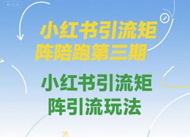 小红书引流矩阵陪跑第三期，小红书引流矩阵引流玩法小白网创_互联网创业项目_网络创业小白网创
