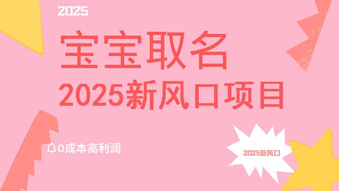 （14593期）2025新风口项目宝宝取名，0成本高利润，附保姆级教程，月入过万不是梦小白网创_互联网创业项目_网络创业小白网创