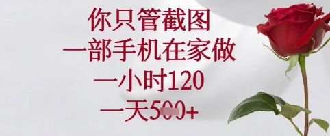 你只管截图，一部手机在家可以做，一小时120.一天5张+【揭秘】小白网创_互联网创业项目_网络创业小白网创