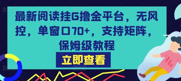 最新阅读挂G撸金平台，无风控，单窗口70+，支持矩阵，保姆级教程【揭秘】小白网创_互联网创业项目_网络创业小白网创