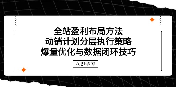 （14698期）全站盈利布局方法：动销计划分层执行策略，爆量优化与数据闭环技巧小白网创_互联网创业项目_网络创业小白网创