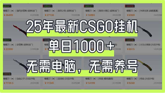 （14178期）25年最新CSGO挂机系统，单日1000+，无需电脑，无需养号，0基础可上手小白网创_互联网创业项目_网络创业小白网创