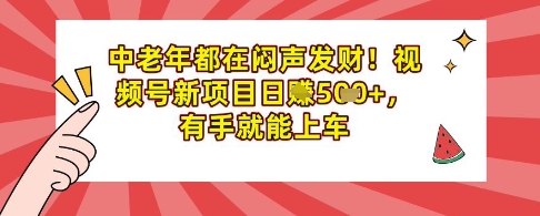 中老年都在闷声发财，视频号新项目日入多张，有手就能上车小白网创_互联网创业项目_网络创业小白网创
