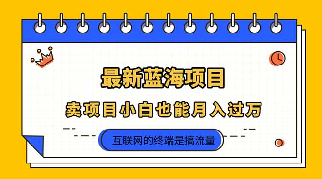 （14289期）2025年最新蓝海项目，卖项目小白也能月入过万小白网创_互联网创业项目_网络创业小白网创