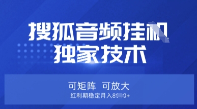 【搜狐音频挂G】独家技术，可矩阵可放大，红利期稳定月入8k【揭秘】小白网创_互联网创业项目_网络创业小白网创