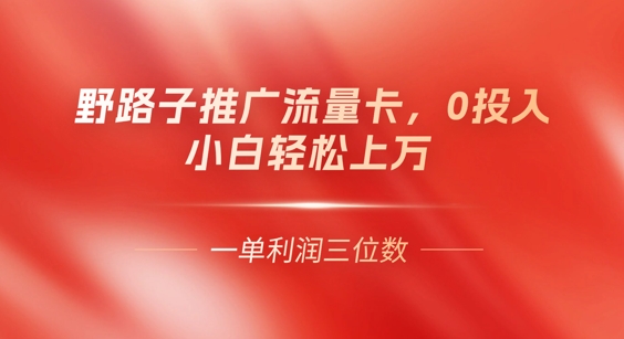 0门槛推广流量卡，一单收益上百，0投入，小白月入过W小白网创_互联网创业项目_网络创业小白网创