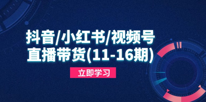 （14611期）抖音/小红书/视频号/直播带货(11-16期)，快速掌握平台规则，打造爆款内容小白网创_互联网创业项目_网络创业小白网创