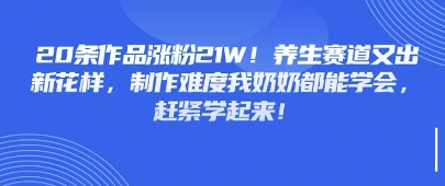 20条作品涨粉21W！养生赛道又出新花样，制作难度我奶奶都能学会，赶紧学起来小白网创_互联网创业项目_网络创业小白网创