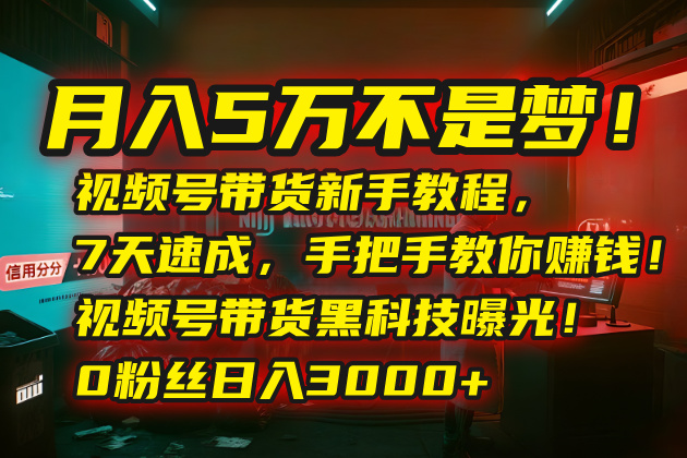 （15595期）月入5万不是梦！视频号带货新手教程，7天速成，手把手教你赚钱！视频号…小白网创_互联网创业项目_网络创业小白网创