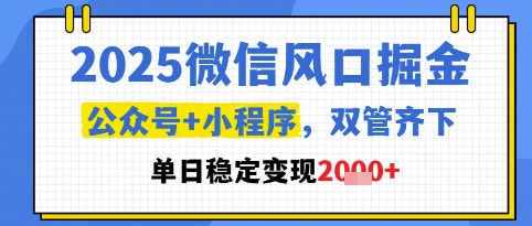 2025微信风口掘金，公众号+小程序双管齐下，单日稳定变现1k+【揭秘】小白网创_互联网创业项目_网络创业小白网创