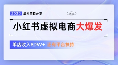 小红书虚拟电商项目，平台大力免费流量扶持，低门槛1拖3玩法小白网创_互联网创业项目_网络创业小白网创