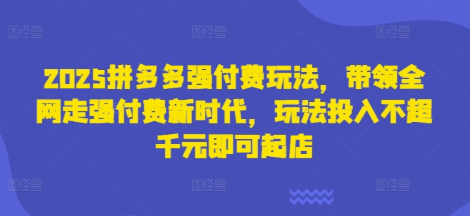 2025拼多多强付费玩法，带领全网走强付费新时代，玩法投入不超千元即可起店小白网创_互联网创业项目_网络创业小白网创