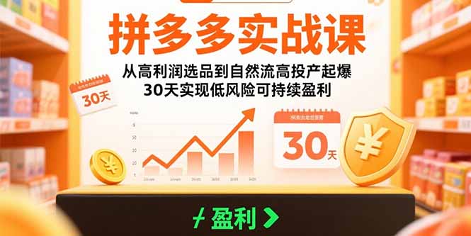 （15586期）拼多多实战课：从高利润选品到自然流高投产起爆 30天实现低风险可持续盈利小白网创_互联网创业项目_网络创业小白网创