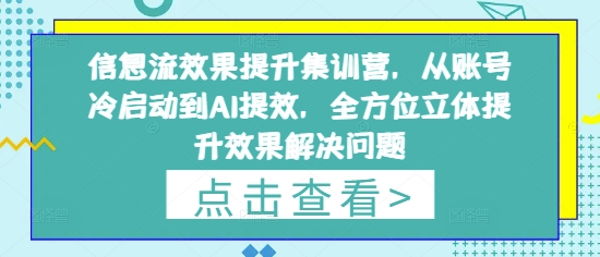 信息流效果提升集训营，从账号冷启动到AI提效，全方位立体提升效果解决问题小白网创_互联网创业项目_网络创业小白网创