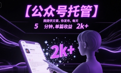 【公众号托管 】我提供文章，你发布，每天5分钟，单篇收益2k+【揭秘】小白网创_互联网创业项目_网络创业小白网创