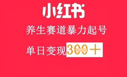 小红书养生赛道，暴力起号，轻松日入3张+小白网创_互联网创业项目_网络创业小白网创