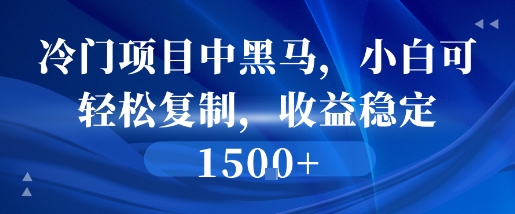 冷门项目中黑马，小白可轻松复制，收益稳定1.5k小白网创_互联网创业项目_网络创业小白网创