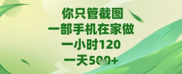 你只管截图，一部手机在家做，苹果安卓都可以，一天5张+【揭秘】小白网创_互联网创业项目_网络创业小白网创