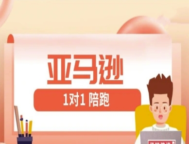 亚马逊1对1陪跑课(FBA/FBM精铺)跨境亚马逊教程小白网创_互联网创业项目_网络创业小白网创
