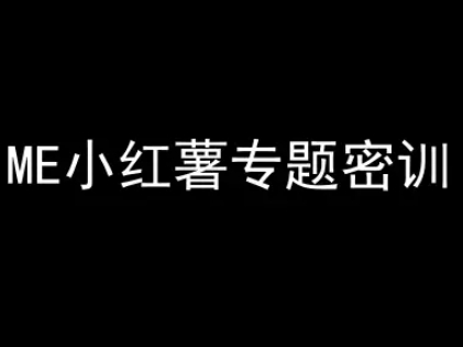 ME小红薯专题密训-小红书电商教程小白网创_互联网创业项目_网络创业小白网创