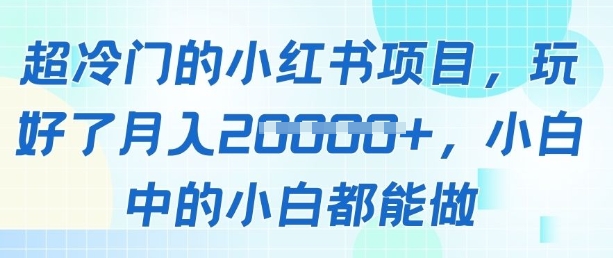 超冷门的小红书项目，玩好了月入过1w，小白中的小白都能做小白网创_互联网创业项目_网络创业小白网创